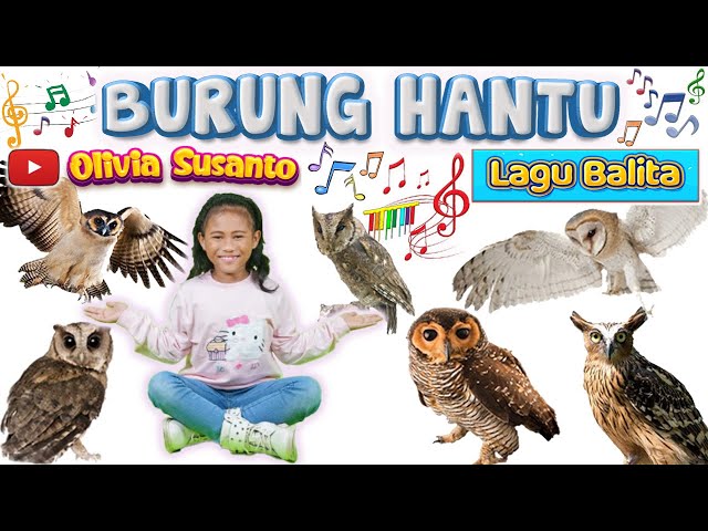 Lagu anak populer 2023‼️Burung Hantu - artis Olivia Susanto #laguanak #oliviasusanto #burunghantu class=