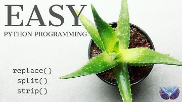 Python Programming: Tutorial 5: replace() | strip() | split()