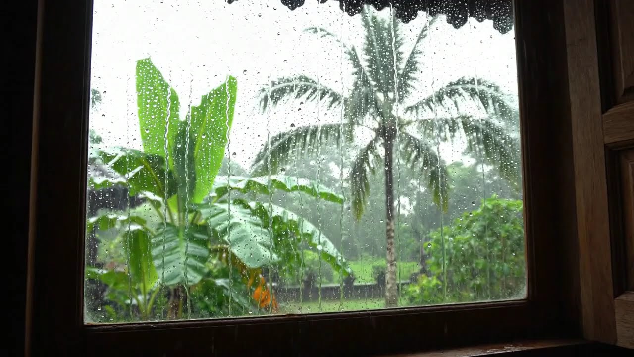 vlog amatir di kampung