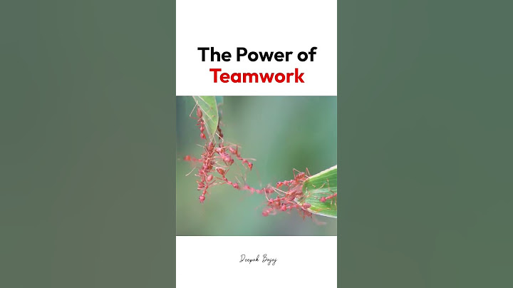 the power of teamwork