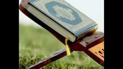 ما تيسر من سورتي المائدة وفاطر القارئ محمد البارقي