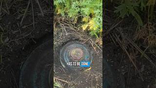 The difficulties of minefields in Eastern Ukraine. Landmineremoval.org
