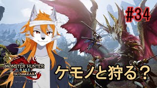 【MHR:SB】のんびり参加型モンハン#34【ケモノVtuber】