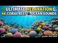 Relaxing Music to Relax Body and Mind, Stress and Anxiety • Calm Music Therapy