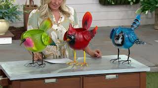 Plow & Hearth Colorful Metal Standing Bird Planter Planter on QVC