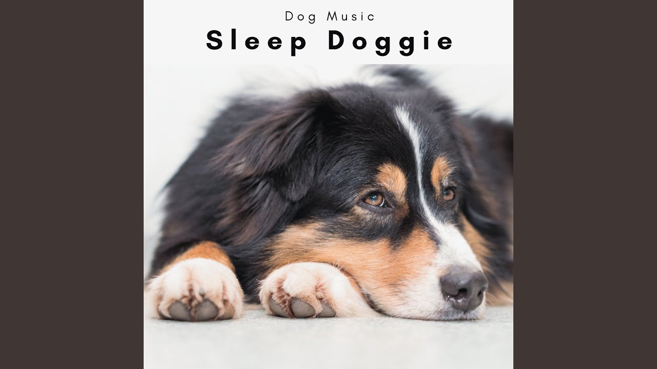 Doggie Chill Sounds for Hard Dog Sleep