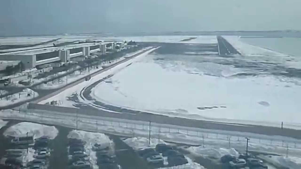 Glass elevators at the Hyatt Harborside in Boston MA YouTube