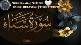Qari Syed Sadaqat Ali /Surah Saba| Nature | Calm | Relaxing | Therapeutic 🤍
