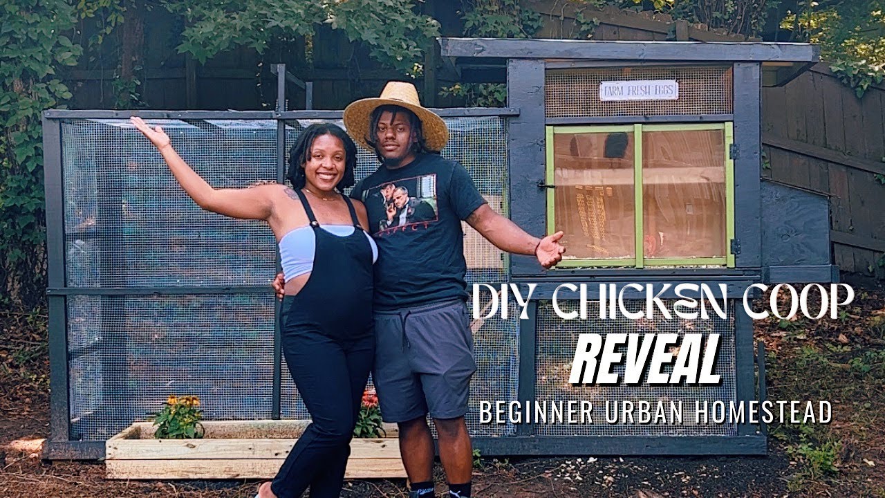MY HUSBAND BUILT MY DREAM CHICKEN COOP! DIY COOP REVEAL BEGINNER