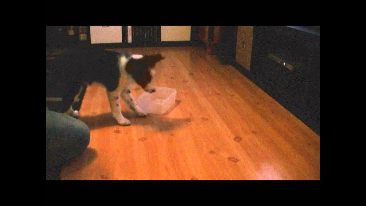 Hexgårdens Wilja "Bli" - 101 saker att göra med en låda