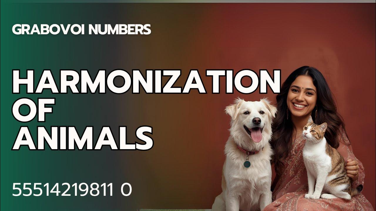 Grabovoi Numbers for Harmonisation of any Animal 55514219811 0 YouTube
