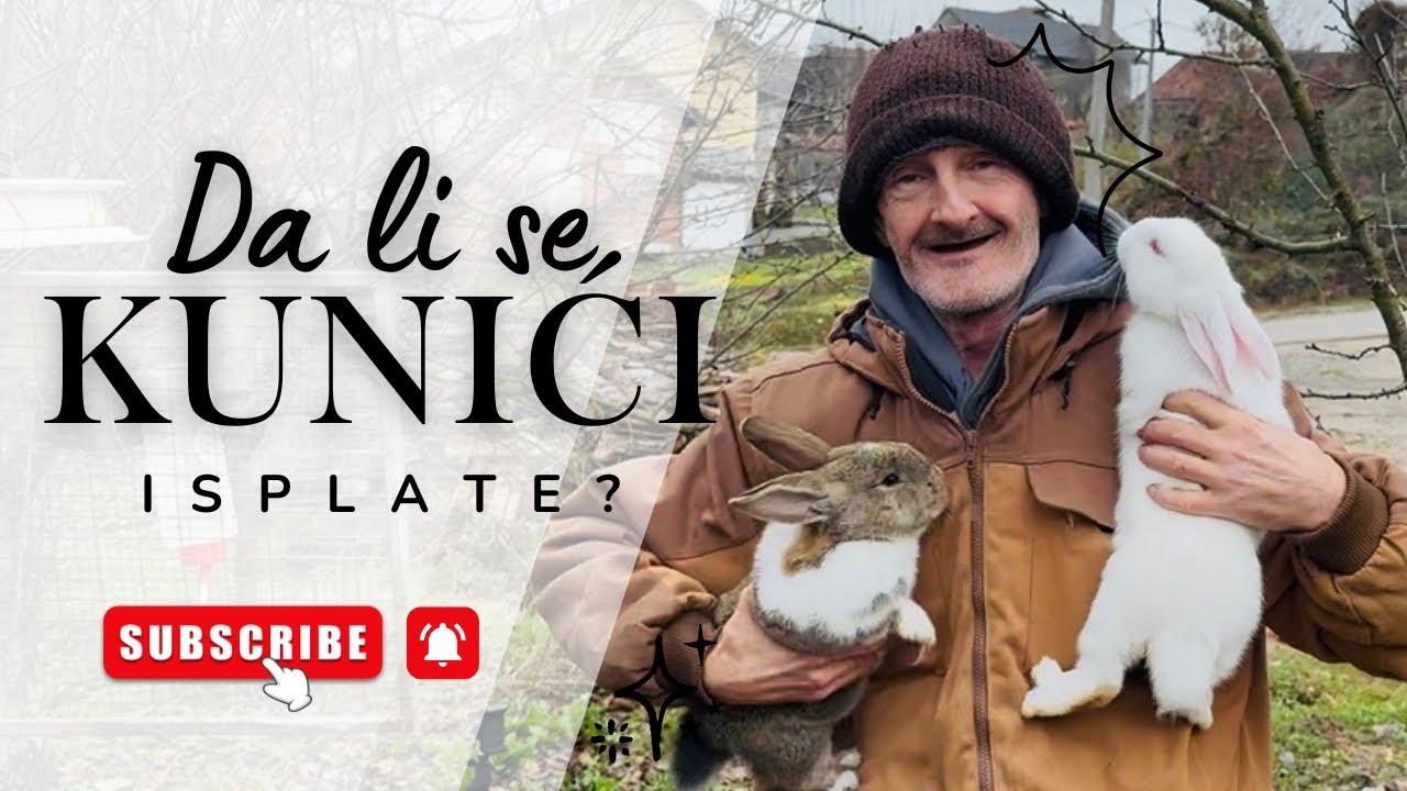 PREDNOSTI I MANE KOD UZGOJA KUNIĆA