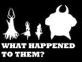 What happened to the five great knights of hallownest  hollow knight lore