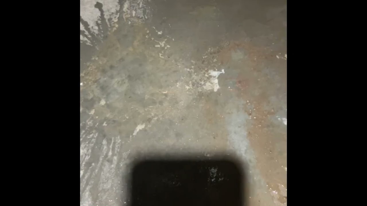 Zeks Dryer Leak Repair