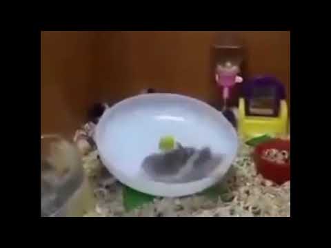 Interstellar “No Time For Caution” Meme Compilation