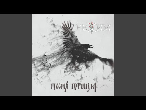 Песня птицы