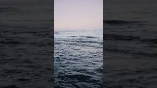 2704 1000618 mp3