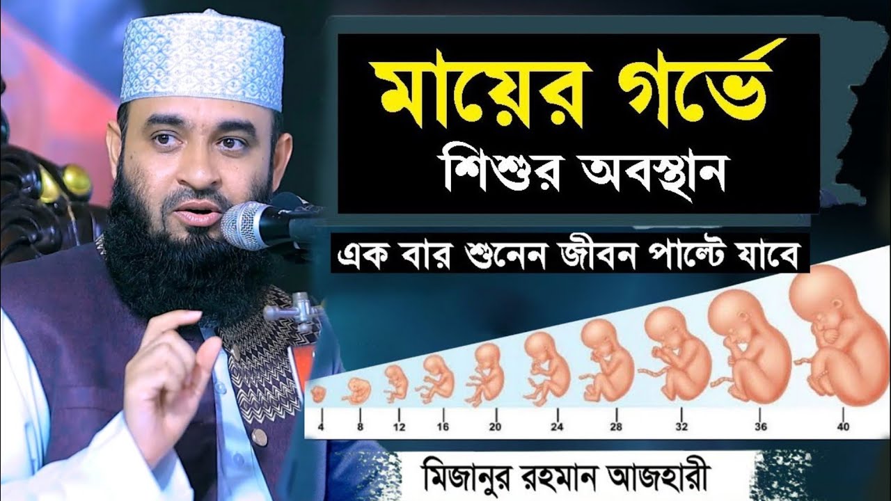 জেনে নিন কীভাবে সন্তান হয়। মায়ের গর্ভে শিশুর অবস্থান। মিজানুর রহমান আজহারী | Mizanur Rahman Azhari