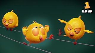 Too Many Chickies Wheres Chicky? 1 Hour Cartoon Collection In English For Kids New Episodes