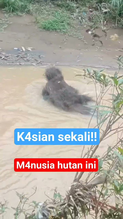m4nusia hutan viral