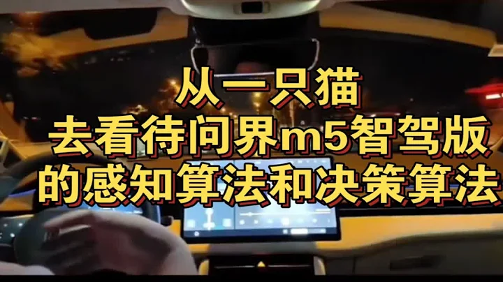 從一隻貓去了解問界m5智駕版的決策演算法！華為ADS帶來的未來可期 - 天天要聞