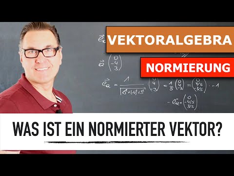 Wie normiere ich einen Vektor? | Normierung eines Vektors | Einheitsvektor | parallele Vektoren