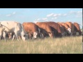 Природа мира: Красивейшие места Европы - документальный - русский фильм смотреть онлайн 2012