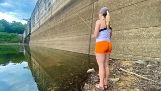 We FOUND Big SPAWNING BLUEGILL Stacked Up!  Spring Bank Fishing for our Dinner! (CATCH and COOK!)