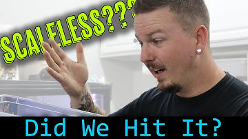 DID WE HIT THE ODDS ON A SCALELESS BALL PYTHON??? | Mixology #97