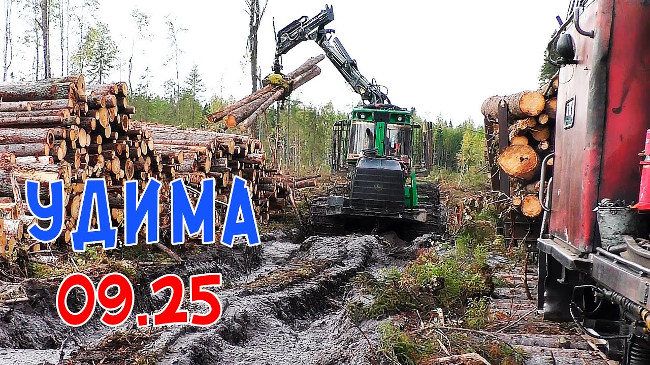 Удима 2025 г. Лесовозная железная дорога в Архангельской области. Фильм С. Костыгова