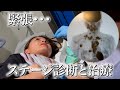 運命のステージ診断…結果はステージ◯でした。【今後の治療について】