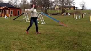 Början på projekt balansbom