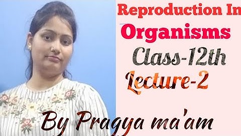 Reproduction In Organisms(Sexul reproduction)  class 12th (Part-1)by Pragya Ma