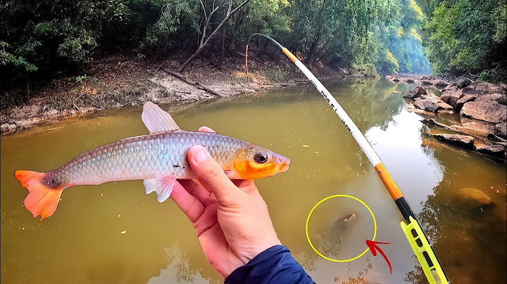 IT WAS THE BEST FISHING TRIP IN PIAU VIDA, UNTIL THE WORST HAPPENED... Will there be any salvatio...