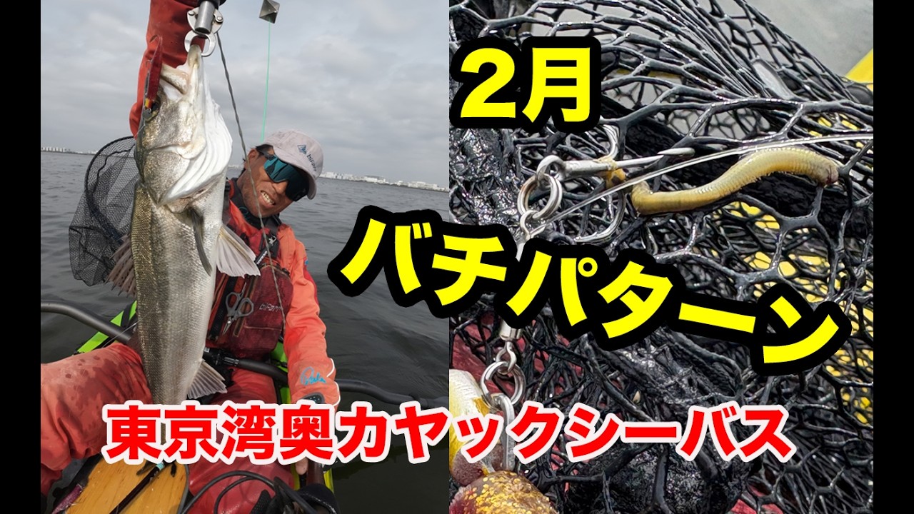 2月末のカヤックシーバス、バチパターン！