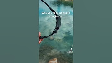 Thumbnail of Polarized Sunglasses