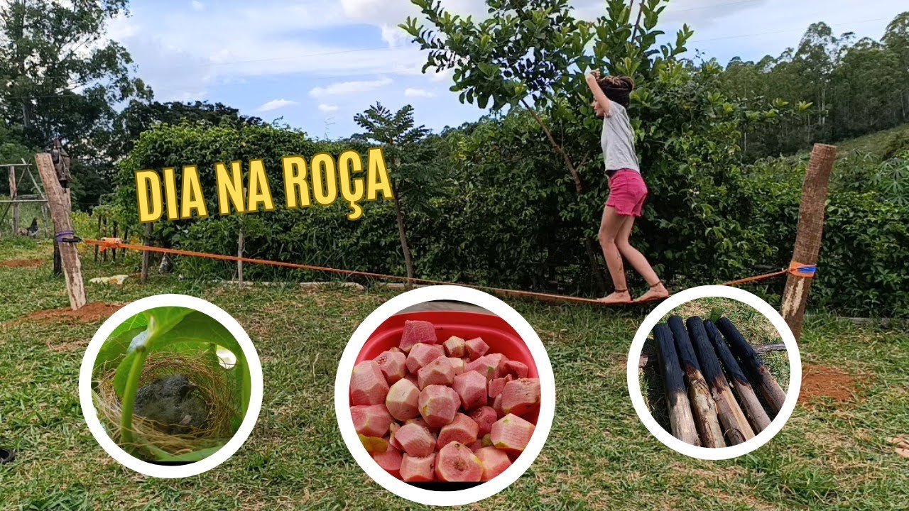 UM POUQUINHO DE UM DIA AQUI NA ROÇA