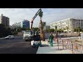 La cala villajoyosa new promenade palm trees arrive full