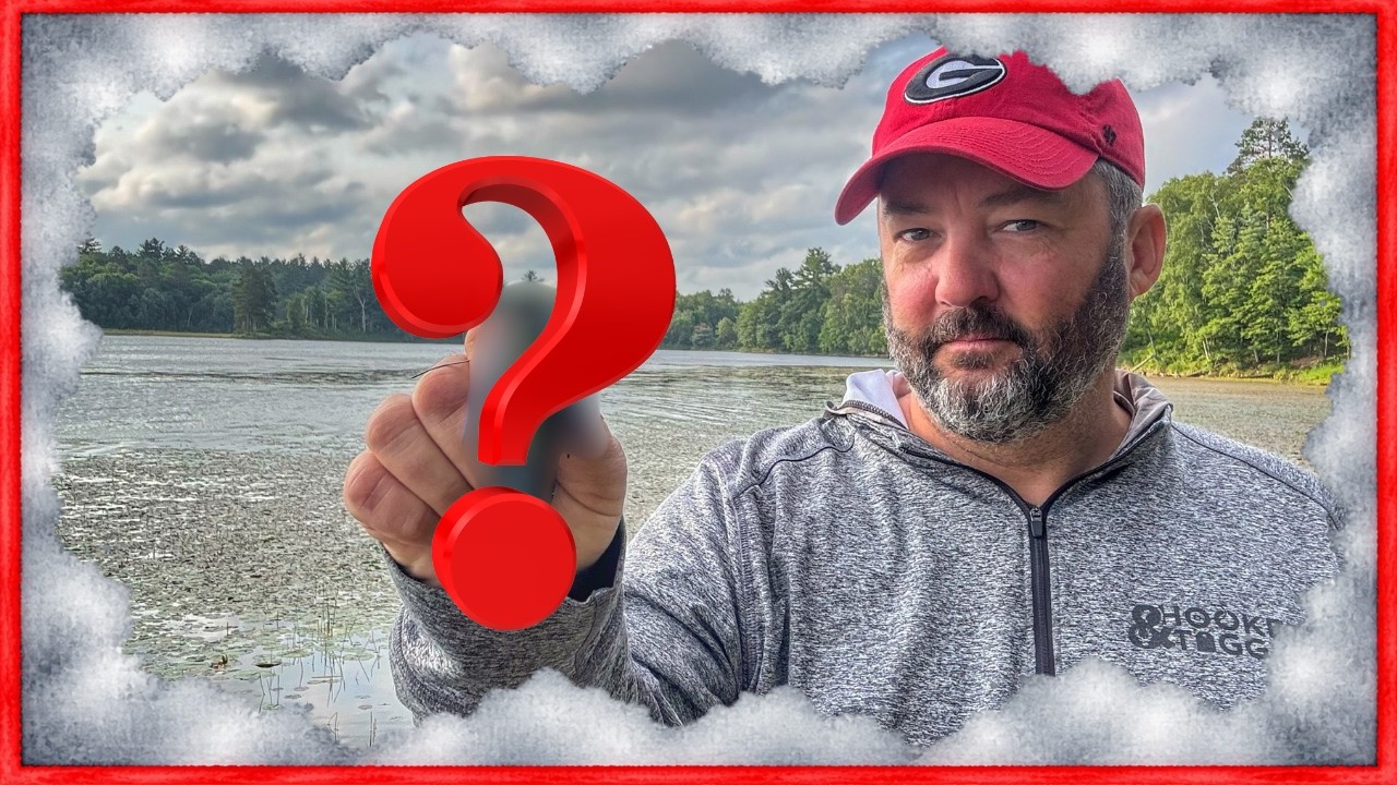 The Lure Bass Never Stop Eating