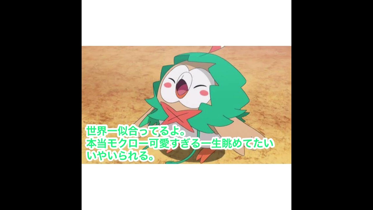 アニポケ モクローが可愛すぎる Shorts Youtube