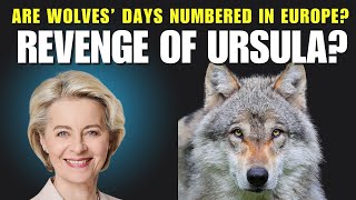 Why Wolf Directive Changed In Europe?