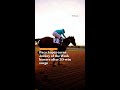 Paco Lopez earns Jockey of the Week honors after 20-win surge