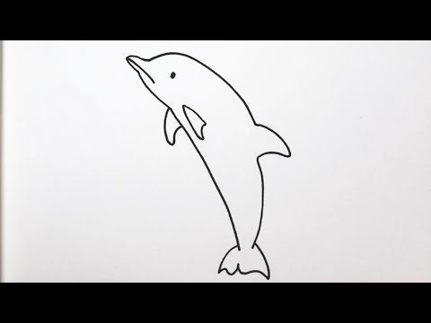 簡単 イルカの描き方 イラスト お絵描き Easy How To Draw Dolphins Illustration Drawing Youtube