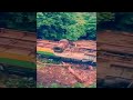 Ten sustains injuries as the RTC bus falls into a valley at Ahobilam in Kurnool
