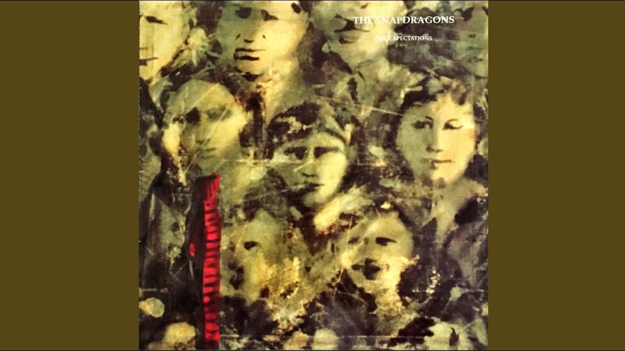 The Snapdragons - No Expectations