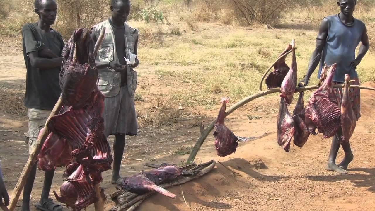 Natural Resources and Nation Building in the Republic of Southern Sudan - Natural Resources and Nation Building in the Republic of Southern Sudan