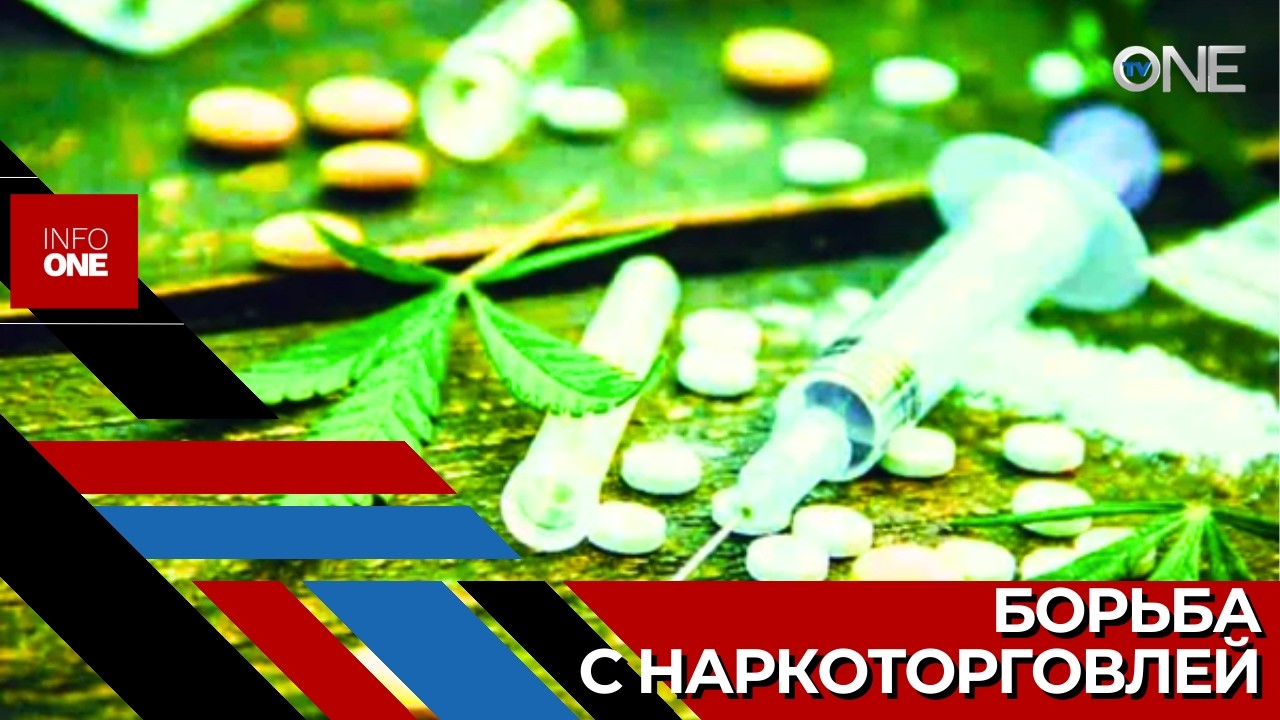 INFO ONE – Даниелла Мисаил-Никитин отчиталась в парламенте о проделанной работе