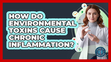 How Do Environmental Toxins Cause Chronic Inflammation? - All About the Immune System