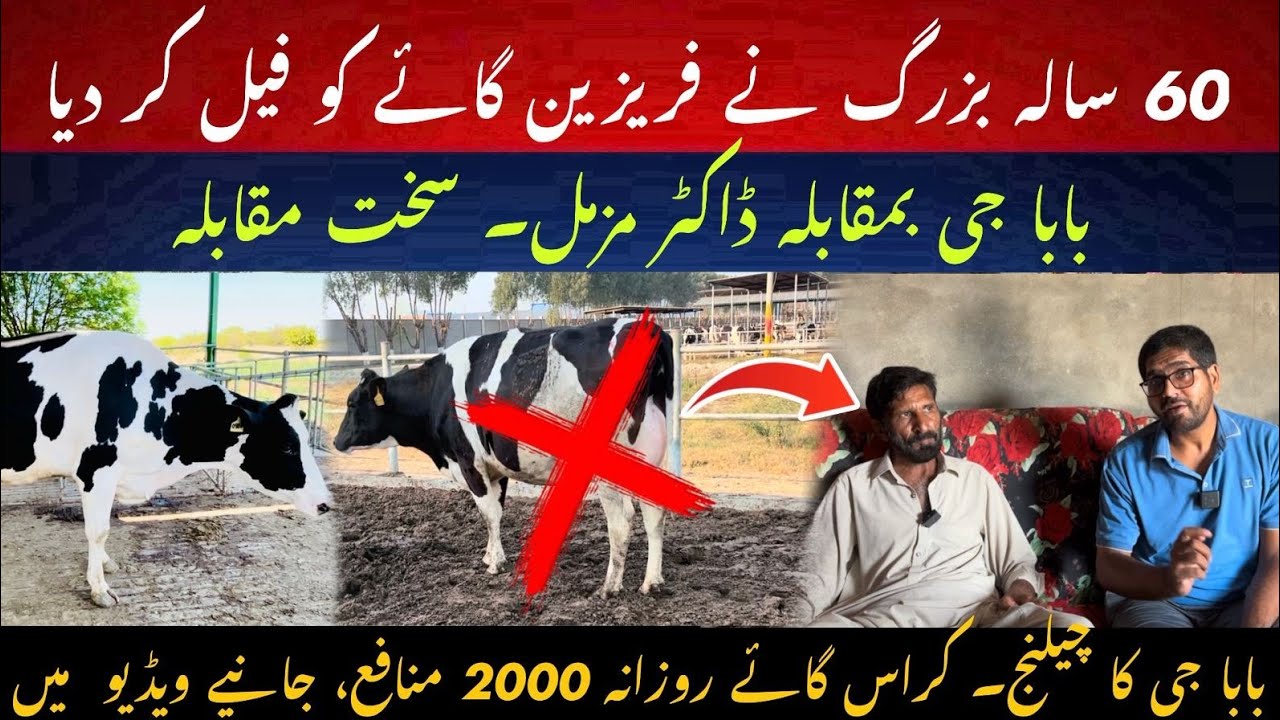2000 per day profit from crossbred cow II 50 years old farmer challenge to Dr. MUZZAMMIL 