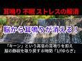 【耳鳴り音響療法】自律神経を整え脳の静寂を取り戻す:「1/fゆらぎ」が耳鳴り 不眠 ストレスを改善
